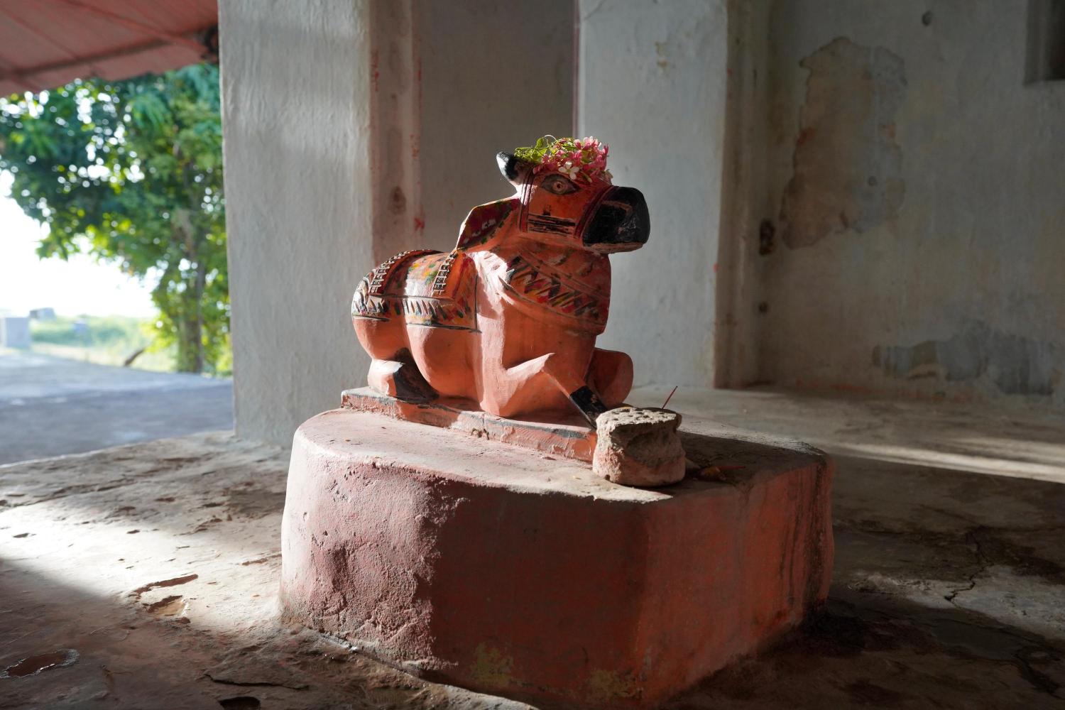 Nandi in the Nandikeshwar and Badkeshwar Mahadev temple complex in village Gangli that gets surrounded by Sardar Sarovar Dam waters, Photo credit_ Rohit Jain for Oral History Narmada (1)