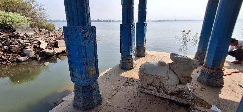 Nandi in the Mahadev temple complex in village Chikhalda that submerges fully in the Sardar Sarovar Dam waters and resurfaces in summer when the dam waters recede, Photo credit_ Nandini Oza