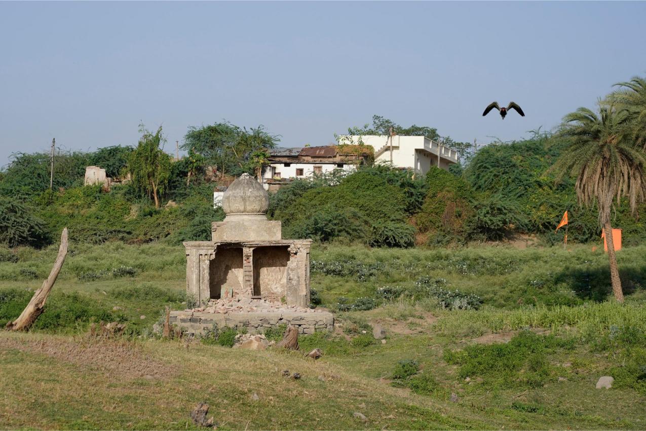 Resurfaced remains of temple of deity Tejaji Maharaj from the Sardar Sarovar Dam waters in village Gangli in Madhya Pradesh, Photo credit_ Rohit Jain for Oral History Narmada